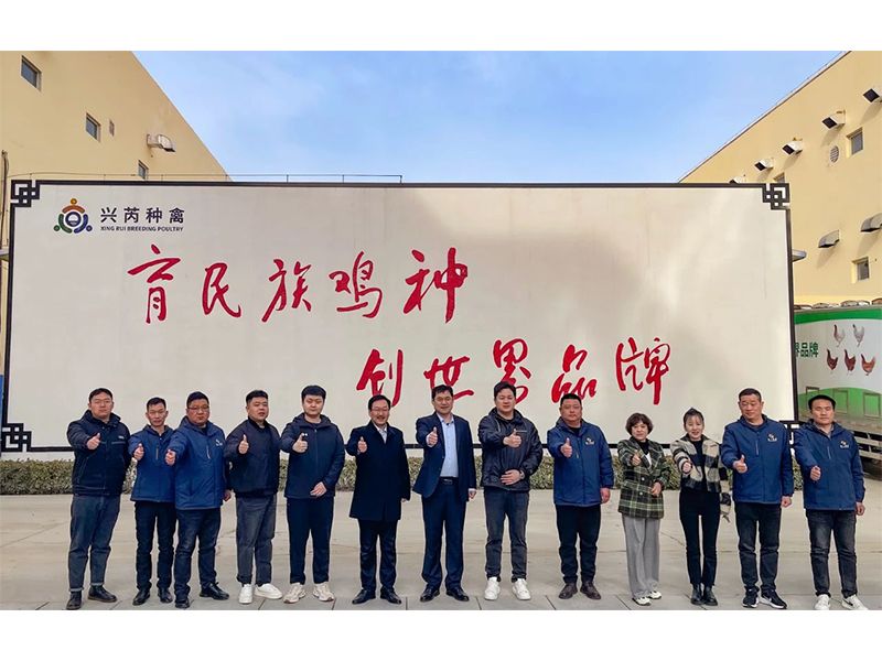 參觀學習促進步 交流合作贏發(fā)展︱卓一牧業(yè)赴興芮種禽、峪口禽業(yè)與瑞普生物參觀訪學