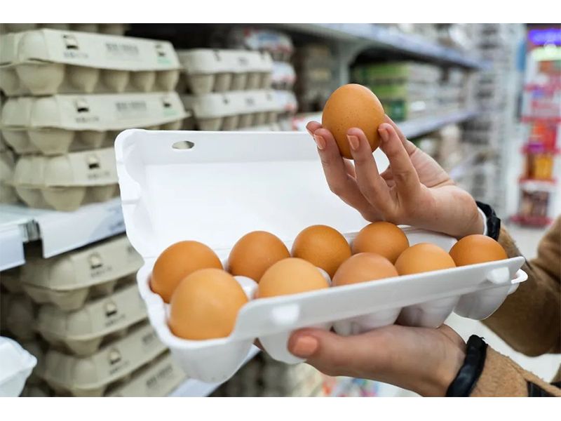 什么是快樂(lè)農(nóng)場(chǎng)？我們?nèi)绾尾拍軐?shí)現(xiàn)它