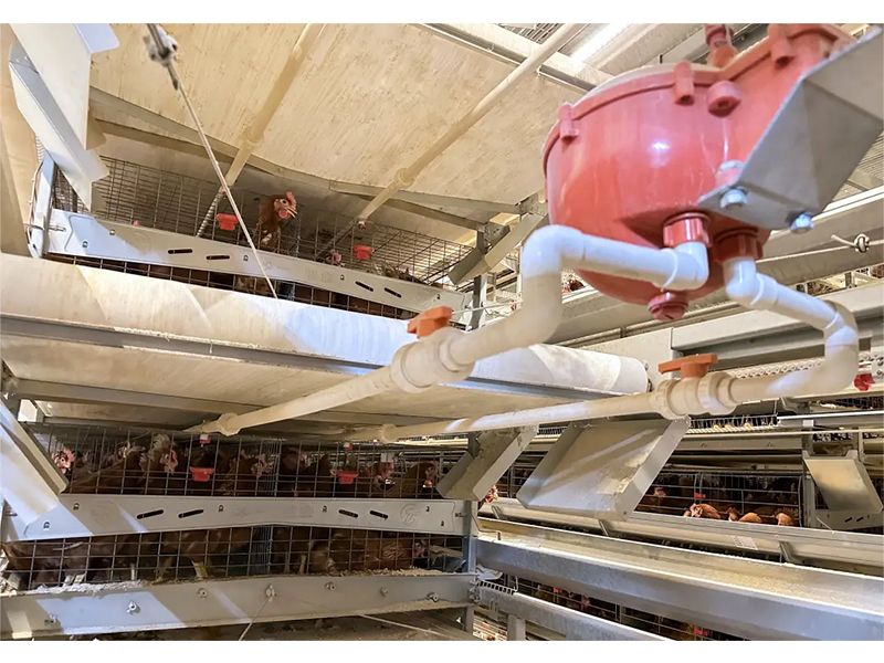 養(yǎng)殖場如何做到飲水安全？