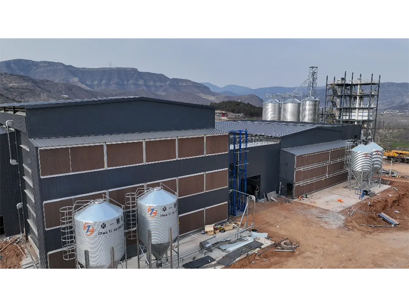 夏季養(yǎng)雞僅關(guān)注溫度環(huán)境？飼料安全須高度重視！