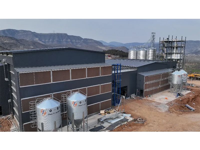 夏季養(yǎng)雞僅關注溫度環(huán)境？飼料安全須高度重視！