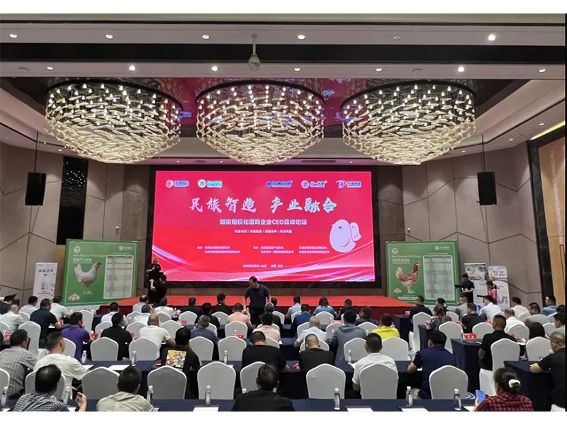 熱烈祝賀湖南規(guī)?；半u企業(yè)CEO高峰論壇取得圓滿成功！
