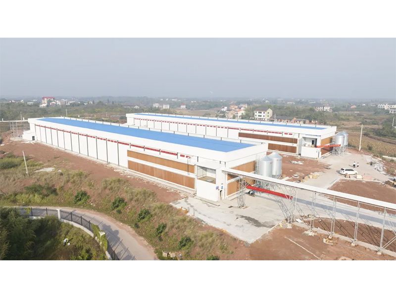 熱烈祝賀西南地區(qū)300萬羽蛋雞養(yǎng)殖基地驗收成功，上雞大吉！