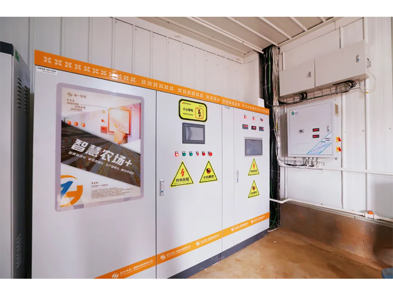 環(huán)境多變，春季養(yǎng)雞如何通風(fēng)？