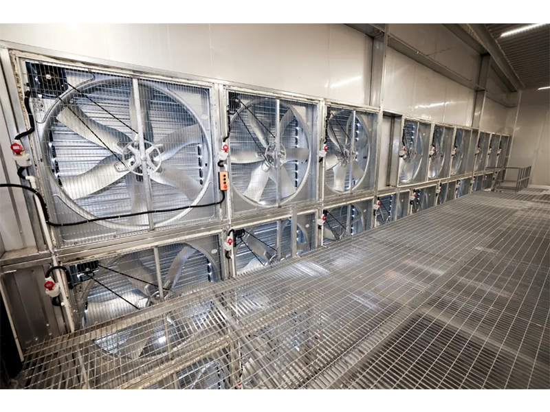 春夏氣溫驟升之際，雞舍應(yīng)該采取哪些應(yīng)對(duì)措施？