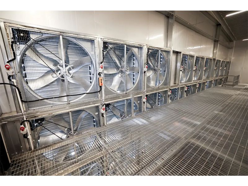 春夏氣溫驟升之際，雞舍應(yīng)該采取哪些應(yīng)對(duì)措施？