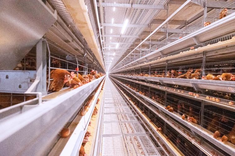 夏季來臨，使用水簾時需要注意哪些事項？