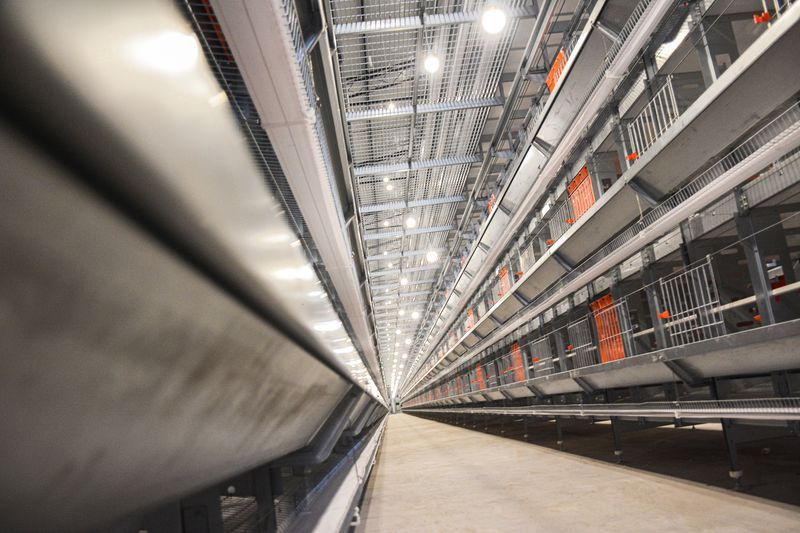 本交籠硬件設備圖