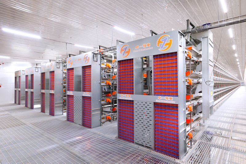 超高層疊養(yǎng)雞技術：養(yǎng)雞產業(yè)新潮流